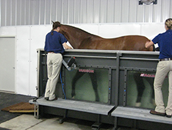 Aquapacer (Water Treadmill)