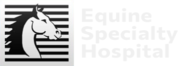 Equine Specialty Hospital