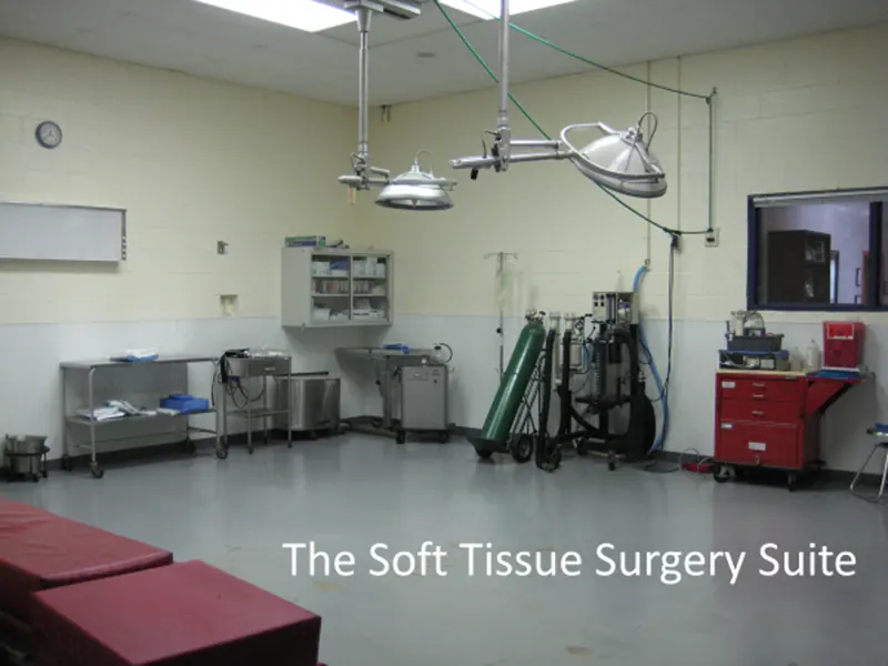 The soft tissue surgery suite