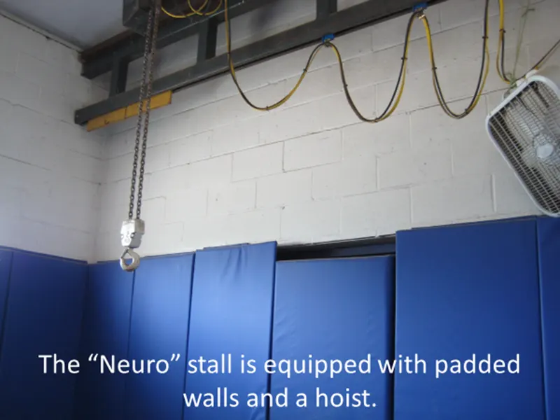 The 'Neuro' stall is equipped with padded walls and a hoist